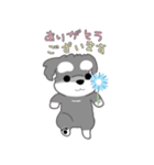 かわいいシュナ犬ポップアップ（個別スタンプ：1）