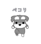 かわいいシュナ犬ポップアップ（個別スタンプ：5）
