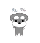 かわいいシュナ犬ポップアップ（個別スタンプ：8）