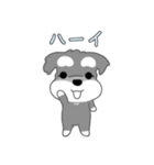 かわいいシュナ犬ポップアップ（個別スタンプ：12）