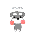 かわいいシュナ犬ポップアップ（個別スタンプ：15）