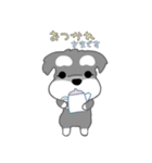 かわいいシュナ犬ポップアップ（個別スタンプ：16）