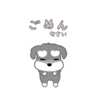 かわいいシュナ犬ポップアップ（個別スタンプ：17）