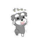かわいいシュナ犬ポップアップ（個別スタンプ：20）