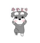 かわいいシュナ犬ポップアップ（個別スタンプ：23）