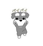 かわいいシュナ犬ポップアップ（個別スタンプ：24）