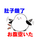 シマエナガのハワイ生活 日本語×台湾華語（個別スタンプ：8）