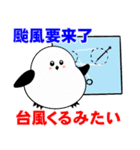 シマエナガのハワイ生活 日本語×台湾華語（個別スタンプ：24）