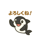 シャチの日常あいさつ（個別スタンプ：1）