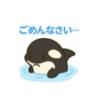 シャチの日常あいさつ（個別スタンプ：4）