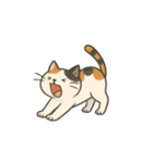AI 三毛猫スタンプ①（個別スタンプ：6）