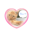 きなことなな（個別スタンプ：1）