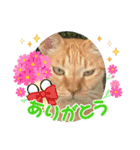 きなことなな（個別スタンプ：2）