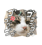 きなことなな（個別スタンプ：3）