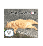 きなことなな（個別スタンプ：7）