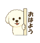 毎日使えるビションフリーゼのシエル君01（個別スタンプ：3）
