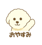 毎日使えるビションフリーゼのシエル君01（個別スタンプ：4）