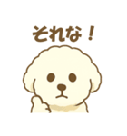 毎日使えるビションフリーゼのシエル君01（個別スタンプ：6）