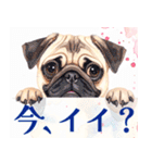 水彩感じるパグスタンプ（個別スタンプ：17）