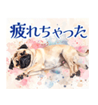 水彩感じるパグスタンプ（個別スタンプ：38）