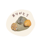 石っこどうぶつ・あいさつ（個別スタンプ：1）