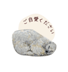 石っこどうぶつ・あいさつ（個別スタンプ：4）