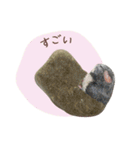 石っこどうぶつ・あいさつ（個別スタンプ：6）