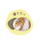 石っこどうぶつ・あいさつ（個別スタンプ：16）