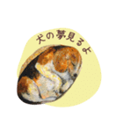 石っこどうぶつ・あいさつ（個別スタンプ：23）