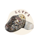石っこどうぶつ・あいさつ（個別スタンプ：24）