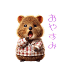 可愛すぎるクアッカワラビーの日常スタンプ（個別スタンプ：11）