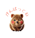 可愛すぎるクアッカワラビーの日常スタンプ（個別スタンプ：37）