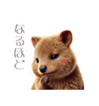 可愛すぎるクアッカワラビーの日常スタンプ（個別スタンプ：38）
