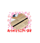 動く！ここさんまろさん時々くろさん（個別スタンプ：10）
