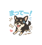 チワワの『ただいま』まで旅inショコラ（個別スタンプ：5）