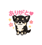 チワワの『ただいま』まで旅inショコラ（個別スタンプ：7）