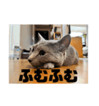 うちの猫(ロシアンブルー)3（個別スタンプ：4）