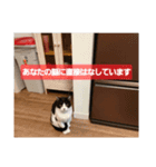 Y家の喜劇（個別スタンプ：9）
