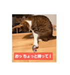 Y家の喜劇（個別スタンプ：10）
