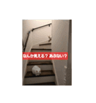Y家の喜劇（個別スタンプ：11）
