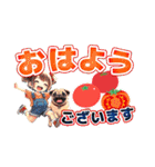 毎日使えるカラフル挨拶（個別スタンプ：34）