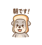 へんしんシュナの毎日コスプレ（個別スタンプ：6）