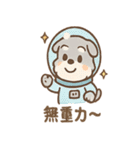 へんしんシュナの毎日コスプレ（個別スタンプ：37）