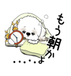 シーズー犬 2025 「文句と心の声」（個別スタンプ：1）