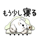 シーズー犬 2025 「文句と心の声」（個別スタンプ：2）
