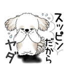 シーズー犬 2025 「文句と心の声」（個別スタンプ：3）