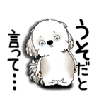 シーズー犬 2025 「文句と心の声」（個別スタンプ：5）