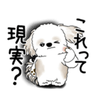 シーズー犬 2025 「文句と心の声」（個別スタンプ：6）
