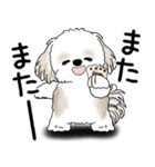 シーズー犬 2025 「文句と心の声」（個別スタンプ：8）