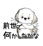 シーズー犬 2025 「文句と心の声」（個別スタンプ：9）